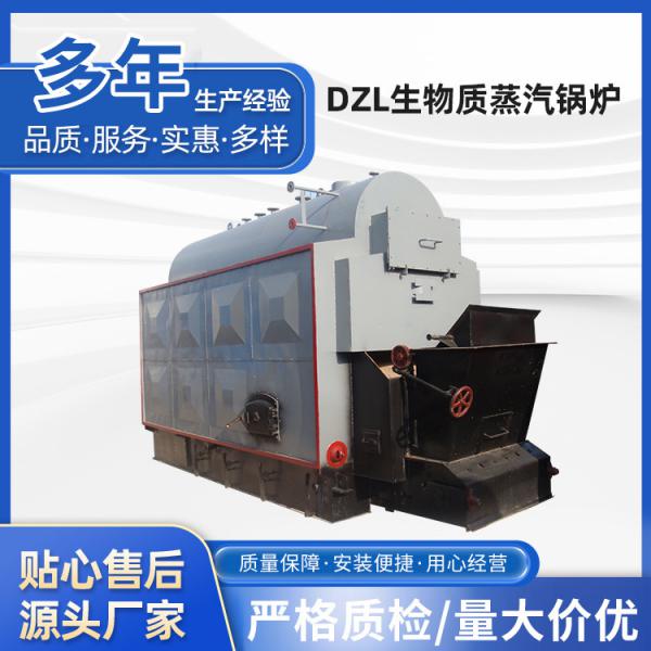 DZL生物質鏈條蒸汽鍋爐